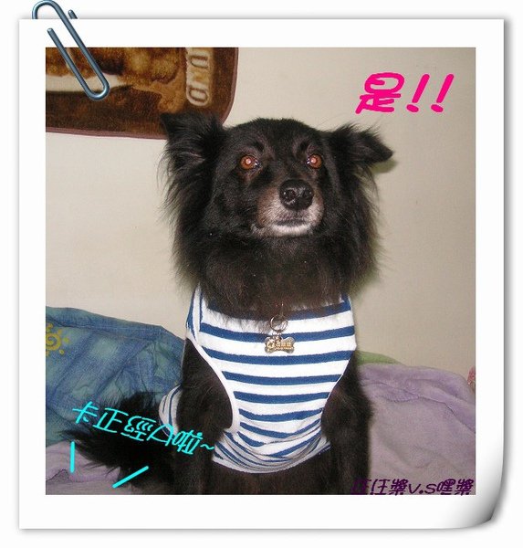 PICT9700.JPG