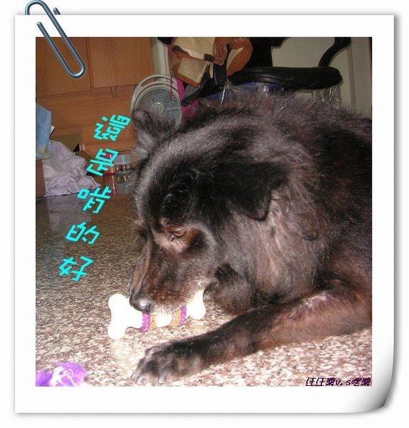 PICT0015.JPG