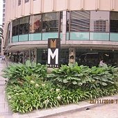 IMG_3989.JPG
