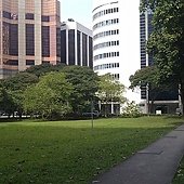 IMAG1654.jpg