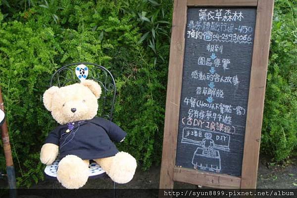 PhotoCap_061.jpg