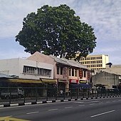IMAG1648.jpg