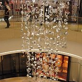 IMG_3711.JPG