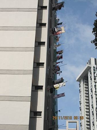 IMG_3972.JPG