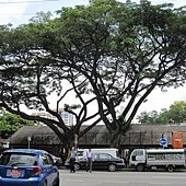 IMG_4443.JPG