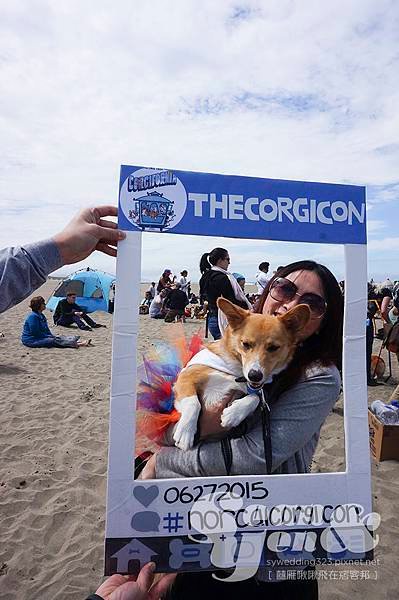 2015NorCalSummerCorgiCon-5