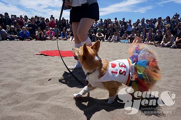 2015NorCalSummerCorgiCon-12