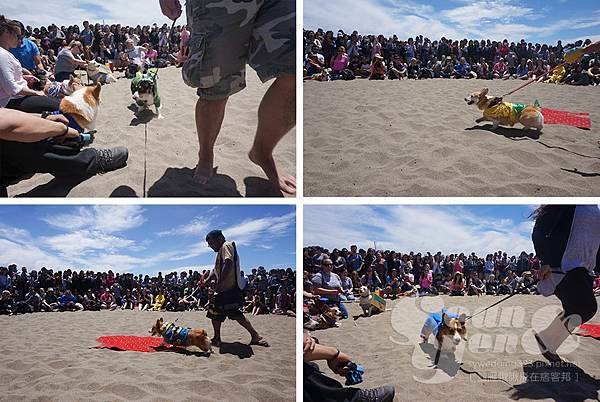 2015NorCalSummerCorgiCon-11