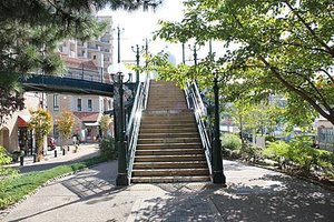IMG_0592