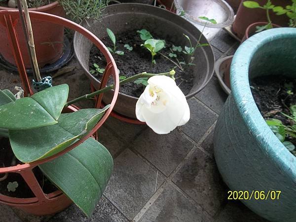 100_3787.JPG