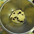 IMG_3168.JPG