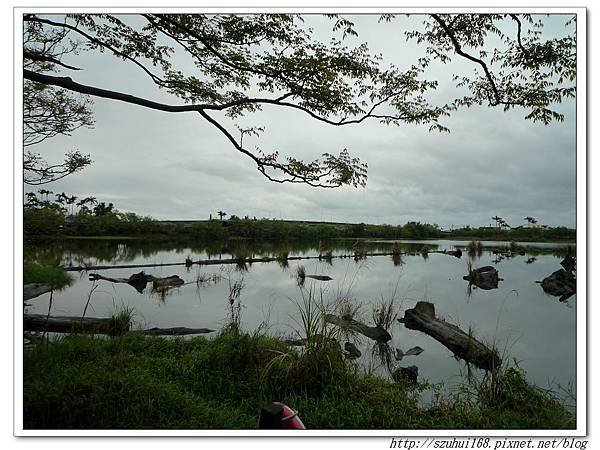 08 (2)