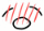 48.gif