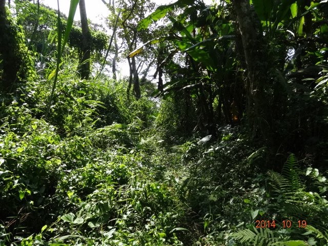 DSC04782.JPG