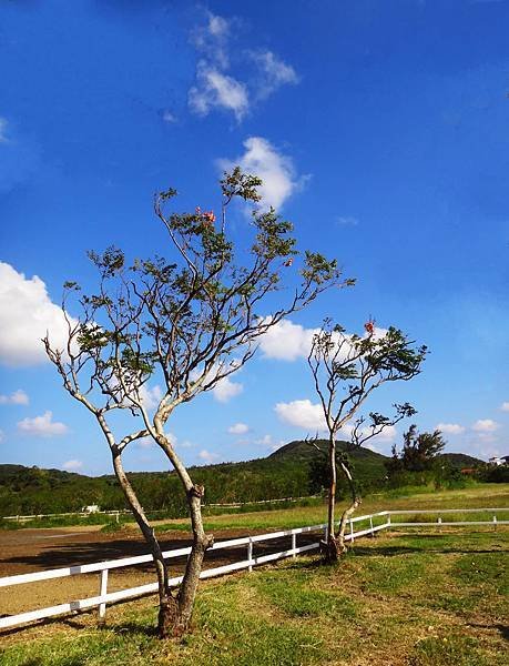DSC04539