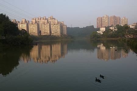 P1060912
