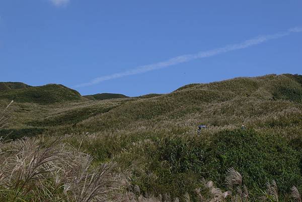 P1110883