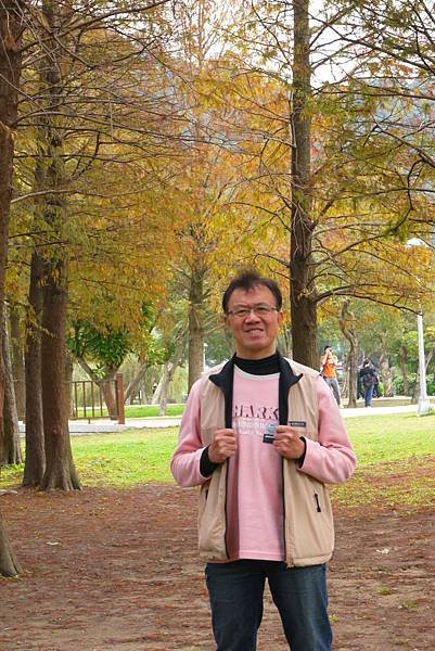大湖公園落羽松01