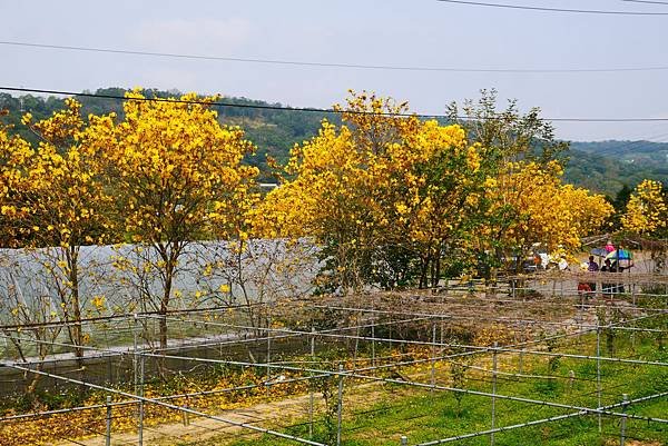P1250688
