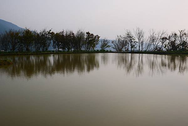 P1290476.JPG