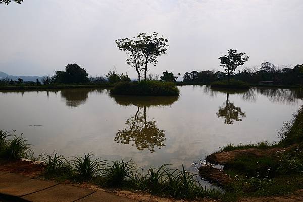 P1290348.JPG