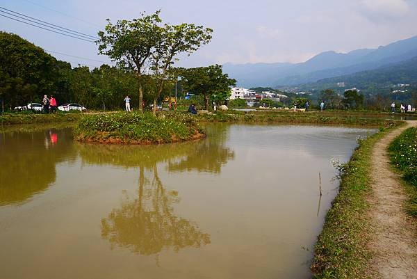 P1290375.JPG