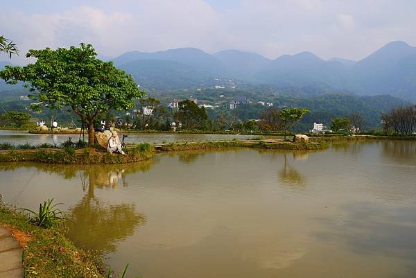P1290416.JPG