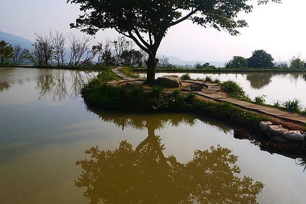 P1290415.JPG