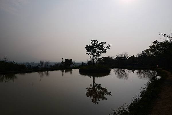 P1290438.JPG