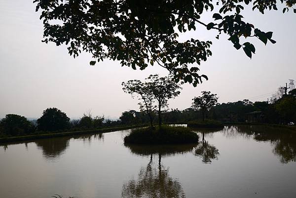 P1290408.JPG