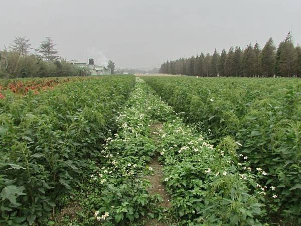 nEO_IMG_IMG_0310.jpg