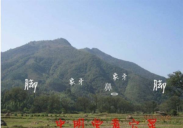 75.jpg