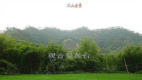 79.jpg