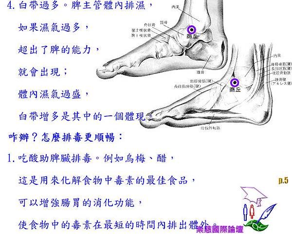 瞧病哪！脾胃-唇周潰瘍或長痘‧脂肪堆積：痰濕‧色斑‧白帶過多‧‧須排毒，就瞧脾胃！咋ㄗㄜˊ 辦？吃醋‧烏梅唄ㄅㄧㄝ！    p.5