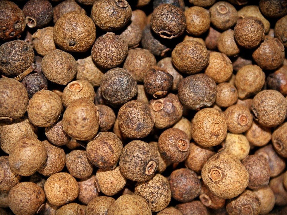 allspice-686859_960_720.jpg