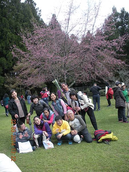 20140322梅峰農場 065.JPG