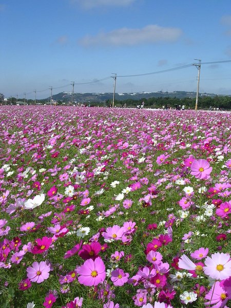 DSCN2552.JPG