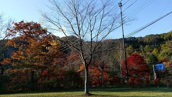 2015-10-28 Day2
