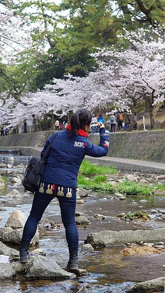 20160403-2.JPG