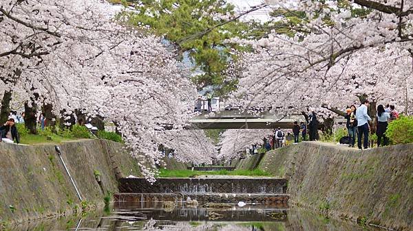 20160403-9.JPG