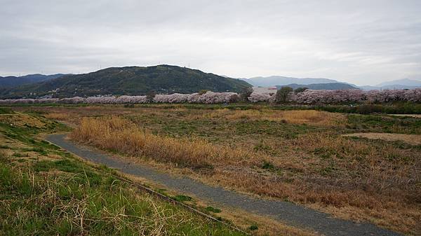 20160403-16.JPG