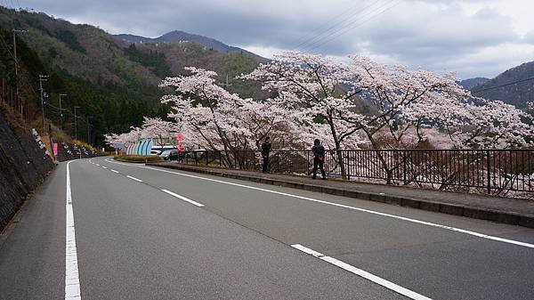 20160403-19.JPG