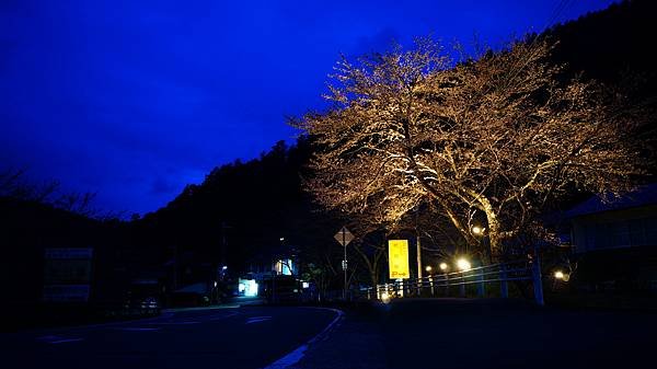 20160403-25.JPG
