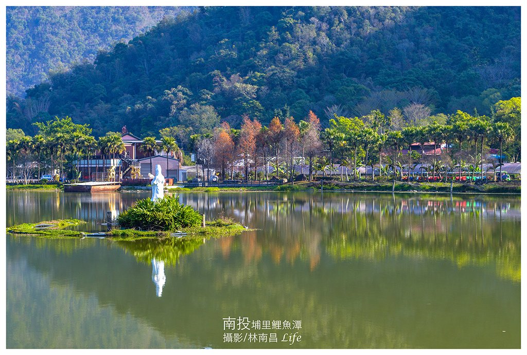 埔里鯉魚潭 (14).jpg
