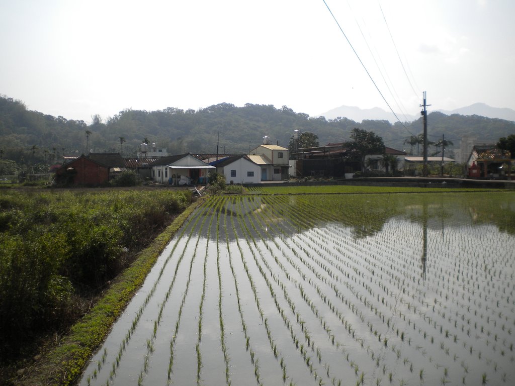 DSCN2110.JPG
