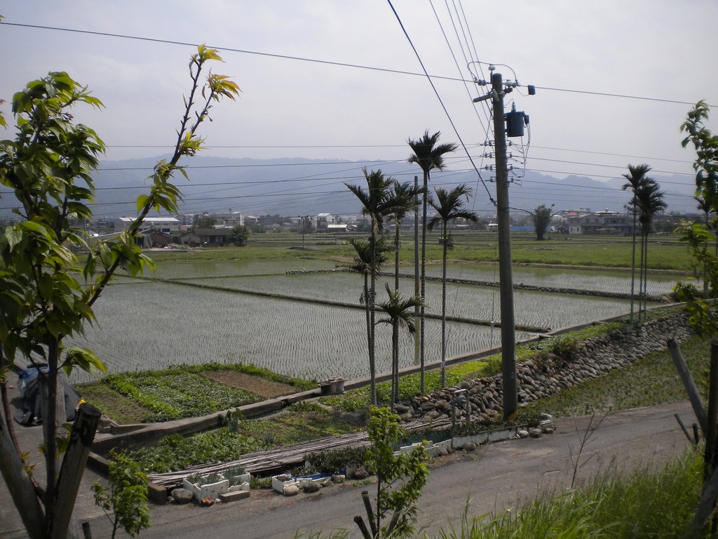 DSCN2165.JPG