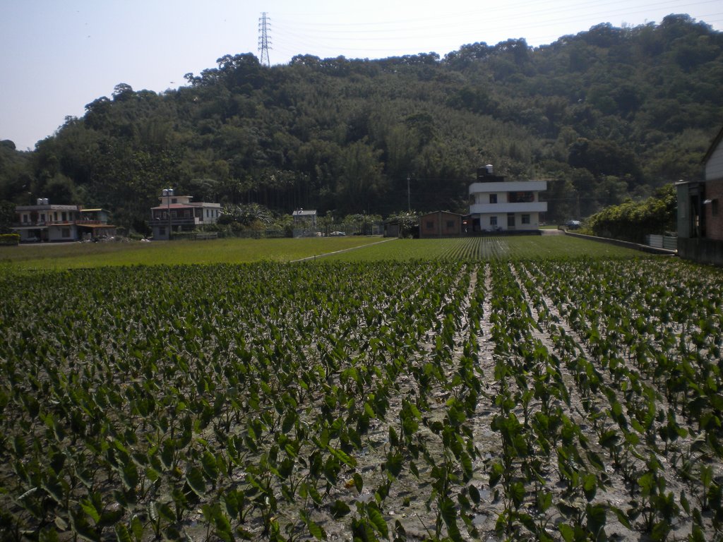 DSCN2118.JPG