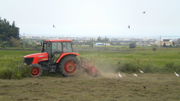 DSCN3197.JPG
