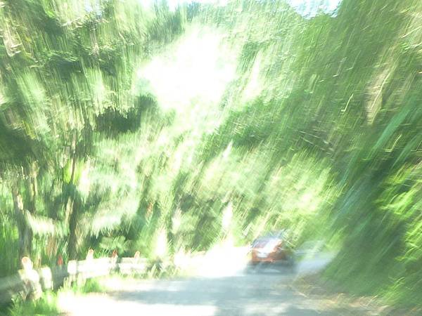 P1010719.JPG