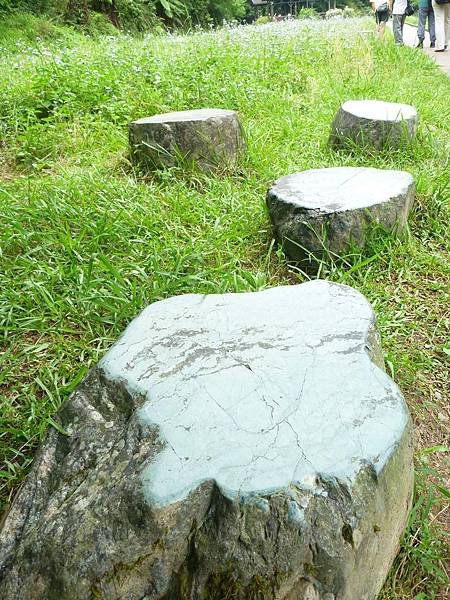 P1010857.JPG